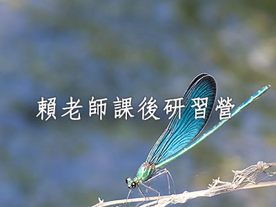 賴老師課後研習營